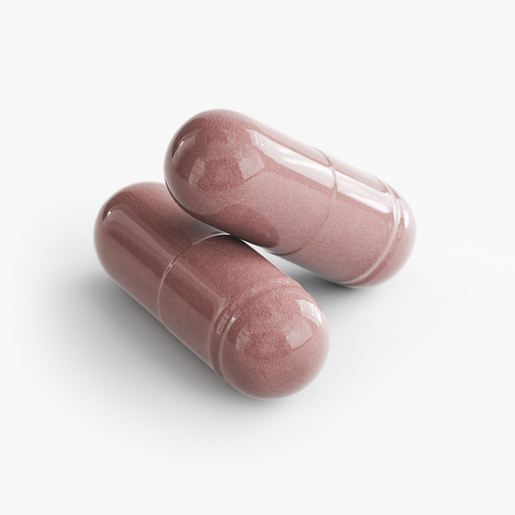 Everyday Fortify Immune Support